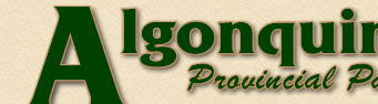 ALGONQUIN