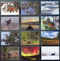 2026 Algonquin Park Calendar