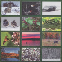 2027 Algonquin Park Calendar