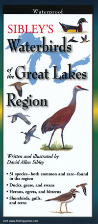 Folding Guide, Sibley's Waterbirds of the Great Lakes Region