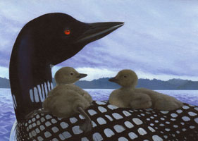 OUT OF STOCK/UNAVAILABLE  High and dry, Loon card
