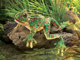 OUT OF STOCK/UNAVAILABLE  Leopard Frog 