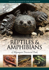 OUT OF STOCK/UNAVAILABLE Reptiles and Amphibians of Algonquin Provincial Park