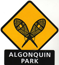 OUT OF STOCK/UNAVAILABLE Snow Shoe Decal