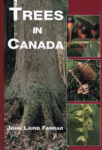 OUT OF STOCK/UNAVAILABLE OLD Trees in Canada