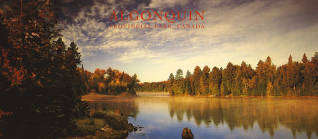 OUT OF STOCK/UNAVAILABLE #58. Autumn on Tea Lake