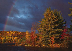 #76. Autumn Rainbow