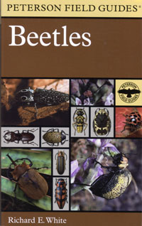 OUT OF STOCK/UNAVAILABLE Beetles, Peterson Field Guide