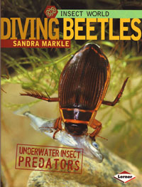 OUT OF STOCK/UNAVAILABLE Insect World Diving Beetles