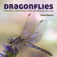 OUT OF STOCK/UNAVAILABLE Dragonflies