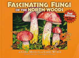 Facinating Fungi of the North Woods