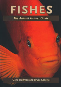 OUT OF STOCK/UNAVAILABLE Fishes, The Animal Answer Guide