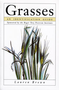 OUT OF STOCK/UNAVAILABLE Grasses, An Identification Guide