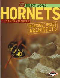 OUT OF STOCK/UNAVAILABLE Insect World Hornets