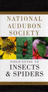 OUT OF STOCK/UNAVAILABLE Insects and Spiders, National Audubon Society Field Guide