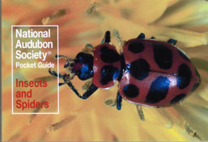 Insects and Spiders, Audubon Pocket Guide