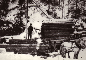 #54.  Early Logging in Algonquin