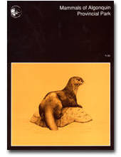 Mammals of Algonquin Provincial Park