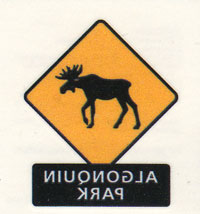 OUT OF STOCK/UNAVAILABLE Moose Crossing Tattoo