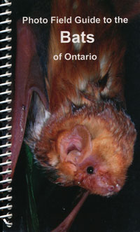 Photo Field Guide to the Bats of Ontario