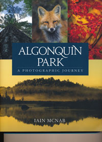 Algonquin Park A Photographic Journey