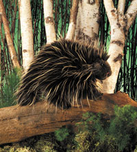 OUT OF STOCK/UNAVAILABLE Porcupine Hand Puppet