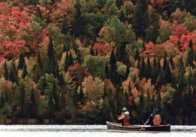 #65. Autumn Paddle