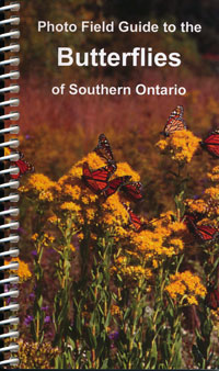 Photo Field Guide to the Butterflies of Southern Ontario