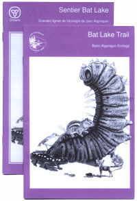 Bat Lake Trail