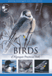 Birds of Algonquin Provincial Park, by Dan Strickland