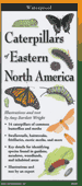 Fold Out Guide Caterpillars of Eastern North America