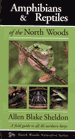 Amphibians and Reptiles of the North Woods