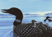 Dawn excursion, Loon card