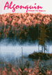 Algonquin Through The Seasons