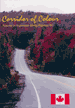 Corridor of Colour, Autumn in Algonquin Along Highway 60 DVD