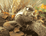 Eastern Chipmunk Puppet