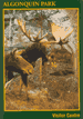#3. Visitor Centre - Moose Diorama
