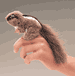 Mini Chipmunk Finger Puppet