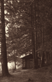 Wenda Lake Postcard