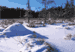 #21. Winter On An Algonquin Beaver Pond