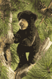 Bear Cub Puppet