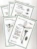 Botanical Sketch Notecards