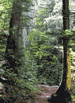 Beaver Pond Trail