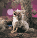 Coyote Puppet