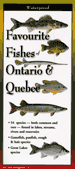 Fold Out Guide, Favourite Fishes of Ontario and Quebec