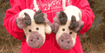 Manny the Moose Mittens