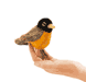 Mini Robin Finger Puppet