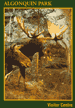 #3. Visitor Centre - Moose Diorama