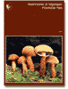 Mushrooms of Algonquin Provincial Park