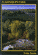 #1. Algonquin Visitor Centre - View from the Deck